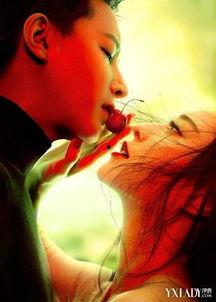 电影创作背景,探寻电影背后的创作灵感与时代印记