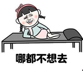 搞笑趣味图,搞笑趣味图背后的爆笑瞬间